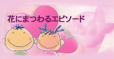 花にまつわるエピソード
