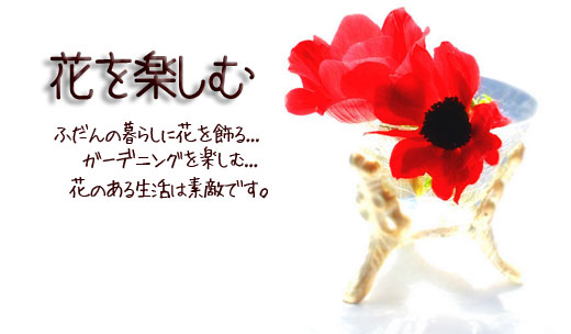 花を楽しむ