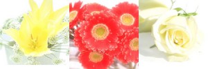 masu