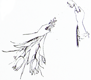 sakamizu