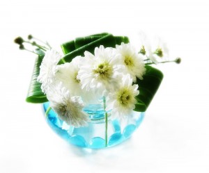 margueriteyae