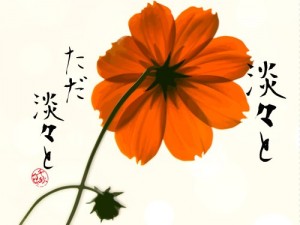 kiiracos2