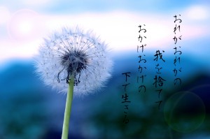 tanpopo