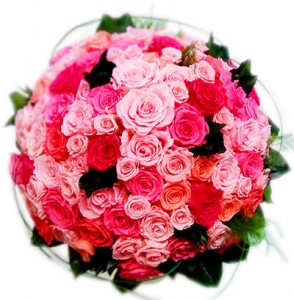 rose1001