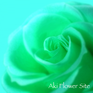 rose_green400